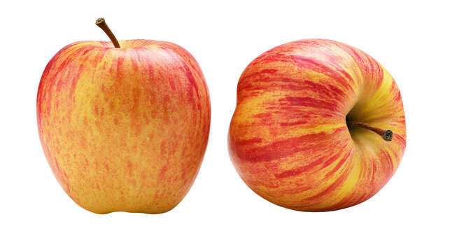 Isolated two fresh red and yellow striped apples displaying healthy skin and natural texture.