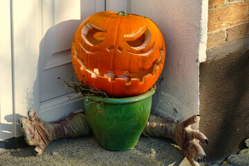 Carved monster pumpkin with mummy arms crawling out of a flowerpot for Halloween © RayBreen