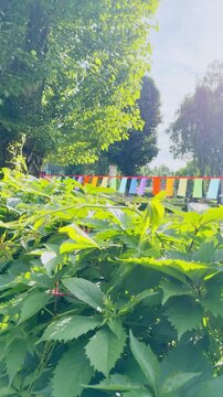 Colorful outdoor celebration with bunting in sunny green garden setting