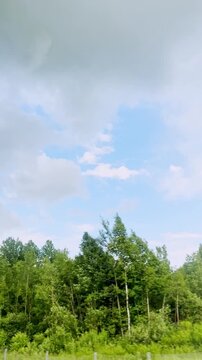Tranquil countryside scene with trees and open sky