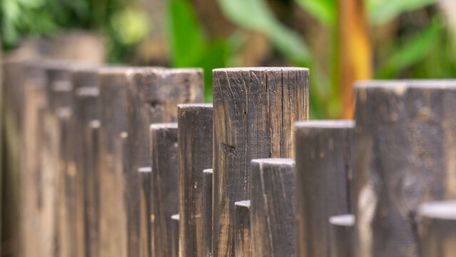 Row of dark wooden palisade fence posts in varying heights in a garden