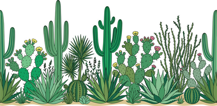 Desert cactus and succulent plants horizontal border pattern with blooming saguaro agave and prickly pear vector illustration