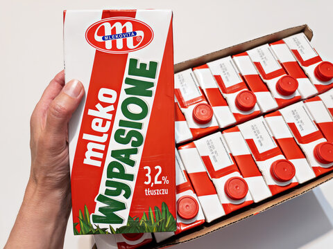 WARSAW, POLAND - MAY 7, 2026: Holding Mlekovita Wypasione milk carton in store