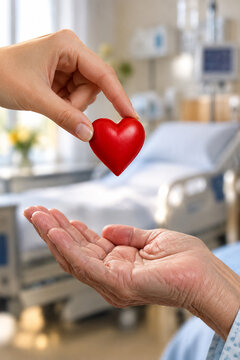 Organspende eines Herzens