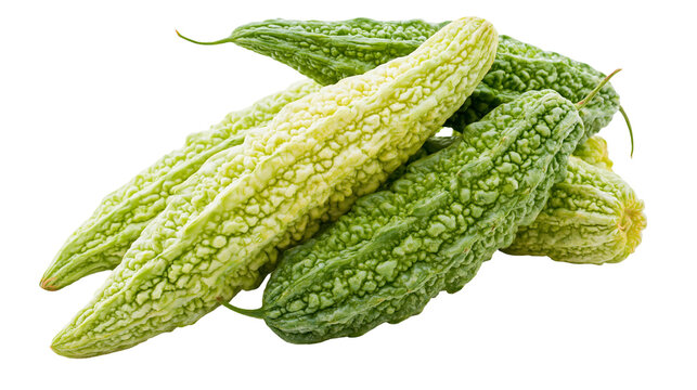 Isolated fresh green bitter gourds in a stack, healthy organic vegetables for traditional cuisine.