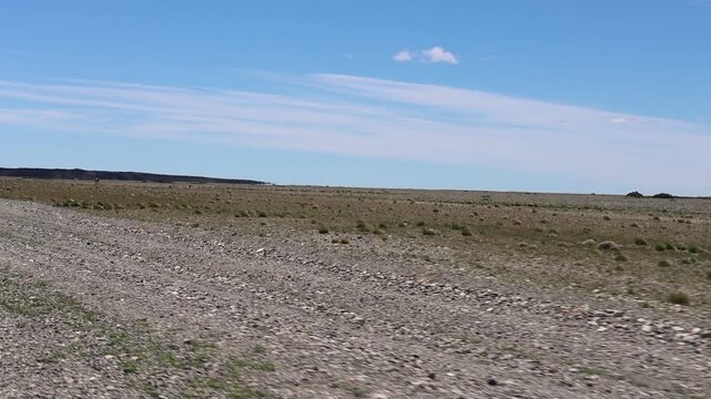 A vast expanse of Patagonian steppe filmed from a moving car, which is not visible; a few guanacos can be seen in the vastness of the steppe.