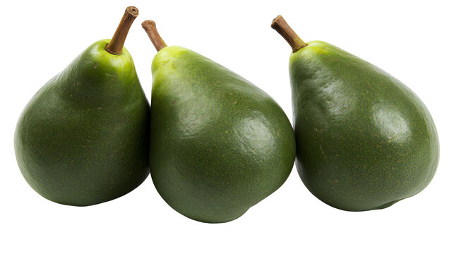 Isolated fresh green avocados. Three whole unripe pear-shaped fruits on clean background.