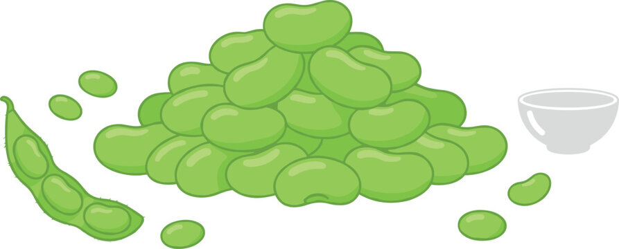 Fresh green edamame soybeans vector illustration with open pod pile of organic beans and small white dipping bowl for healthy food graphics
