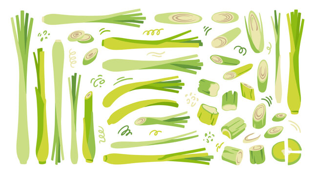 Isolated lemongrass stalks and sliced pieces, green aromatic herb for seasoning and culinary flavoring, healthy organic ingredient for cooking