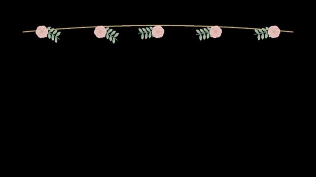 Animated Pink Rose Floral Vine Border and Header Element