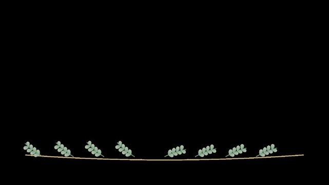 Animated Eucalyptus Leaves Garland Border Motion Graphic