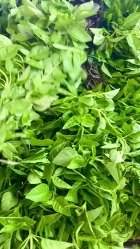 Folhas frescas em feira livre | Fresh leafy greens at an open-air market