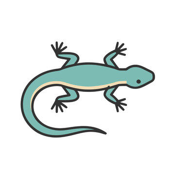 Cartoon lizard illustration