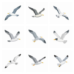 Obraz premium Collection Of Nine Flying Seagull Birds In Flat Vector Style