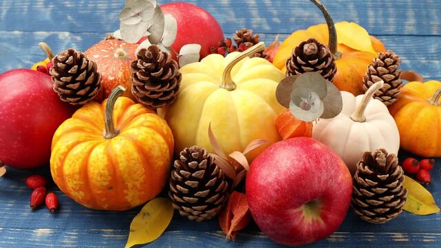 Happy Thanksgiving day. Woman making beautiful composition with pumpkins, pinecones and rose hip berries at blue wooden table, closeup