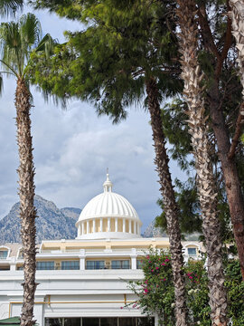White domed building surrounded by tall palm trees