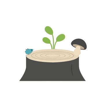 Tree stump with plant, mushroom, and beetle
