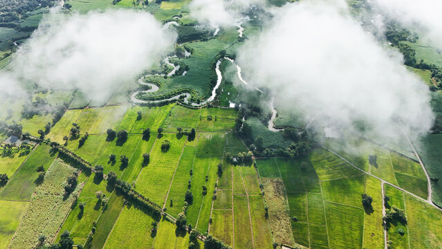 Lush green fields stretch beneath drifting white cloud