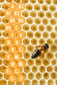Close-up of a honeybee on a honeycomb structure with hexagonal cells, showcasing the intricate patterns and textures of the beeswax and bee