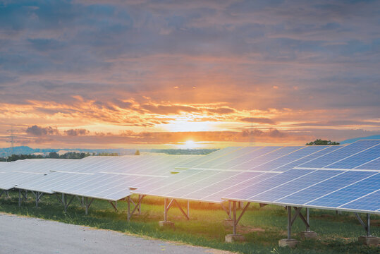 Large solar panel farm generating renewable energy at golden sunset. Sustainable green energy concept. Human-created, not AI.
