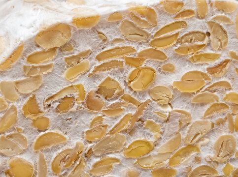 Macro texture of tempe fermentation with soybeans and mold