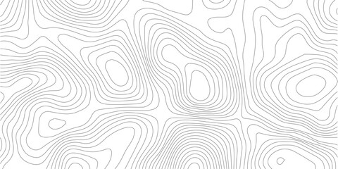 Topographic map vector background, abstract contour lines pattern, minimalist white geographic relief texture for cartography and web design © SELIM