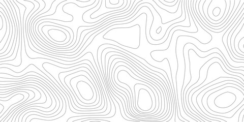 Topographic map vector pattern, seamless contour line background, minimalist geographic elevation landscape, abstract white terrain texture for web design © SELIM