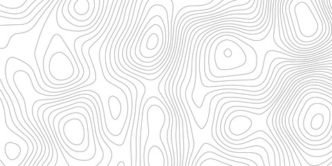 Topographic map vector background, abstract contour lines on white, minimalist geographic terrain pattern, seamless wavy line texture for web design © SELIM