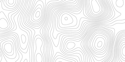 Topographic map vector background, abstract contour lines on white, minimalist geographic terrain pattern, seamless wavy line texture for web design © SELIM