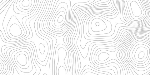 Topographic map vector background, abstract contour lines pattern, minimalist geographic relief texture, grey wavy line art on white © SELIM