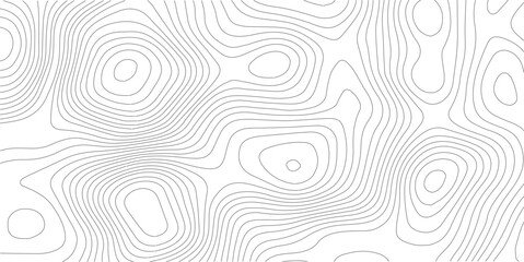 Topographic map vector background, abstract contour lines pattern, minimalist white geographic relief texture for web design and print © SELIM