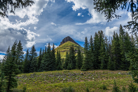 mountain peak sunlit behind alpine trees with dramatic clouds