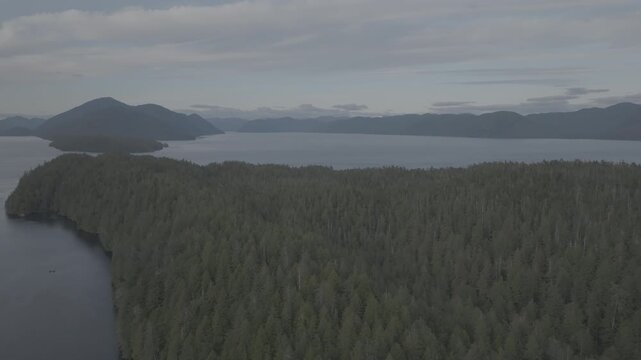Aerial view of dense conifer forest and small islands along a remote Pacific coastline &mdash; looking down at the shoreline