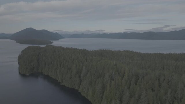 Aerial view of dense conifer forest and small islands along a remote Pacific coastline &mdash; wide view across the channel