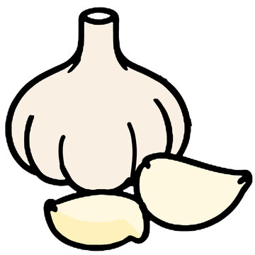 Fresh Garlic and Ginger Korean Cooking Ingredients