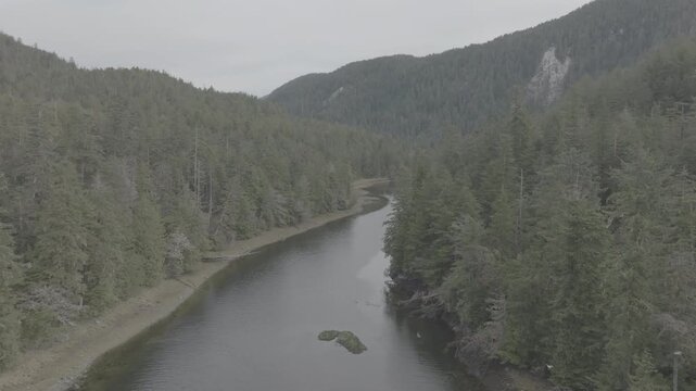 Aerial view of a river winding through old growth temperate rainforest in British Columbia &mdash; high angle over the valley