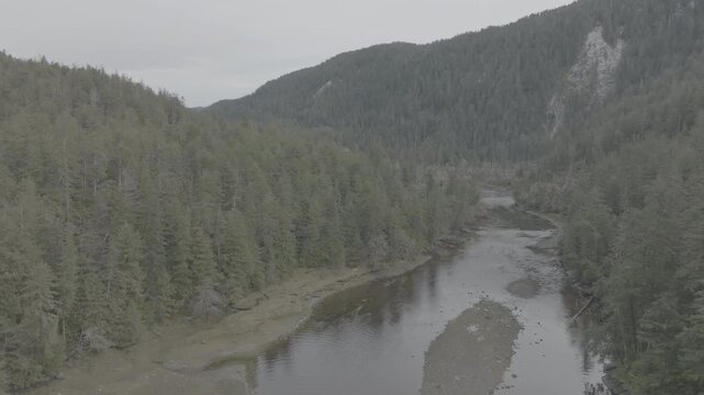 Aerial view of a river winding through old growth temperate rainforest in British Columbia &mdash; wide bend in the river
