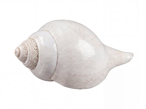 White carved shankha conch shell isolated on white background