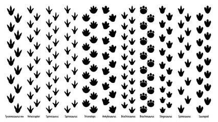 Collection of various dinosaur footprints and tracks isolated on a white background © Kapilbiswas