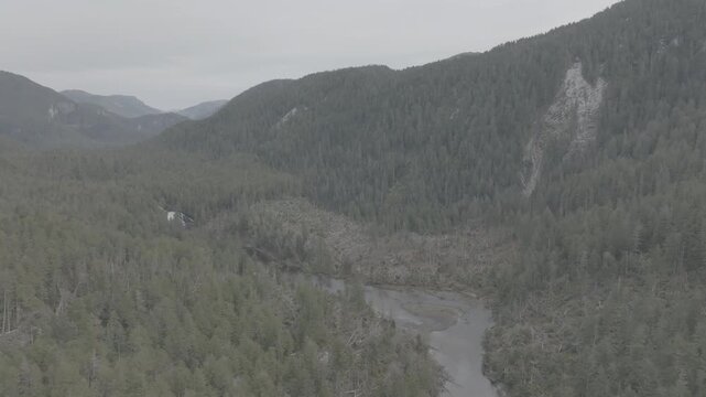 Aerial view of a river winding through old growth temperate rainforest in British Columbia &mdash; descending toward the riverbank