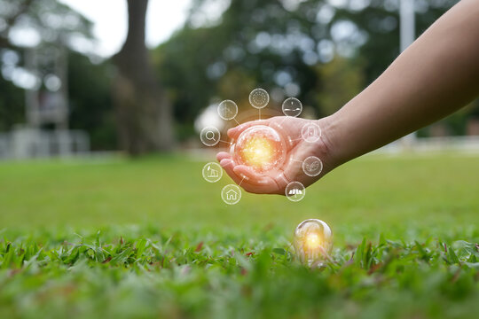 Light bulbs that grow, in the concept of energy in nature.
