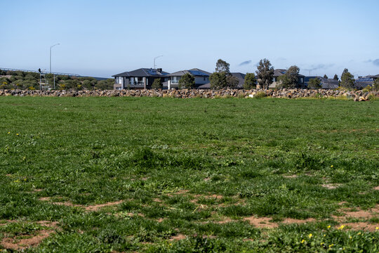 An open, undeveloped green grassland field or vacant land with modern residential houses and a stone boundary wall in the distance in Truganina, an outer suburb in Melbourne, Victoria, Australia