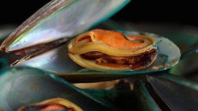 Steamed mussels in shells slowly rotating on a black background.