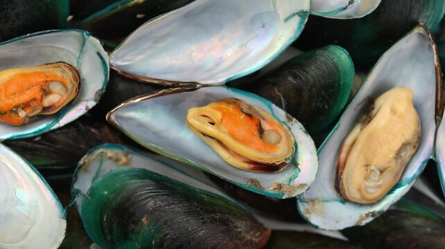 Steamed mussels in shells slowly rotating. Top view shot