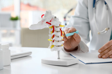 Female doctor with notebook and spine model at table in clinic, closeup