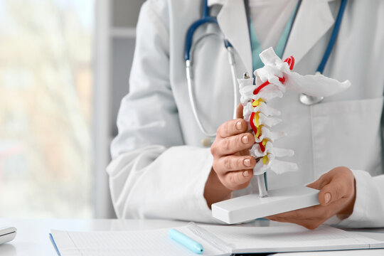 Female doctor with spine model at table in clinic, closeup