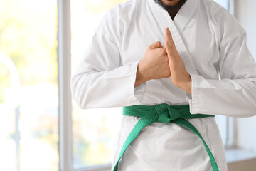 Young man with green belt practicing karate in dojo © Pixel-Shot