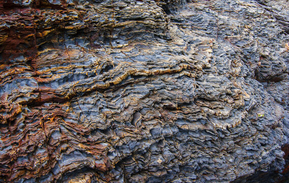 Folded Coastal Rock Texture in Dalian