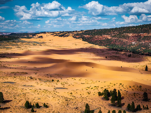 Sunset light glows across Coral Pink Sand Dunes in Utah