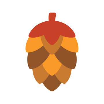 Stylized hop cone illustration